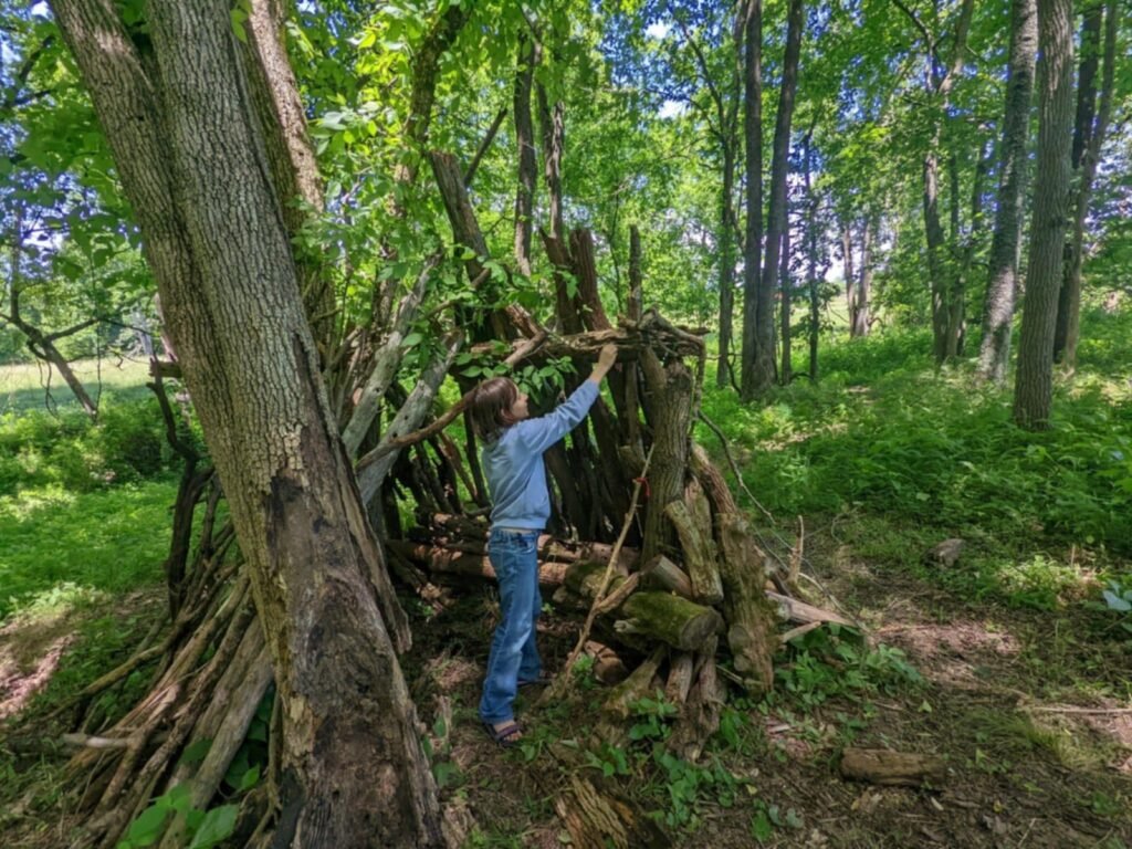 Little boy in blue shirt, holding a stick, in forest