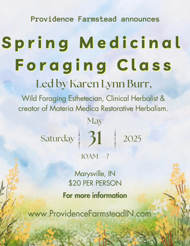 Flyer for Medicinal Foraging