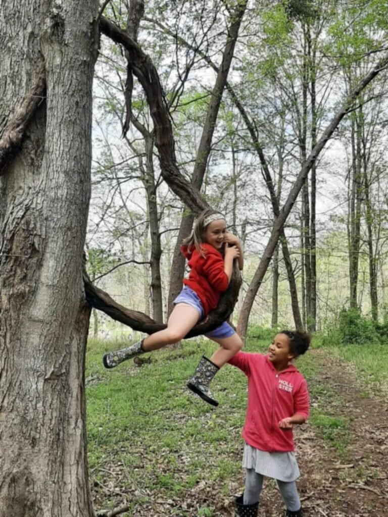 Two girls climbing a tree